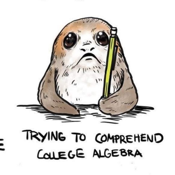 Meet your Posher, Yahaira - Picture 1 of 1